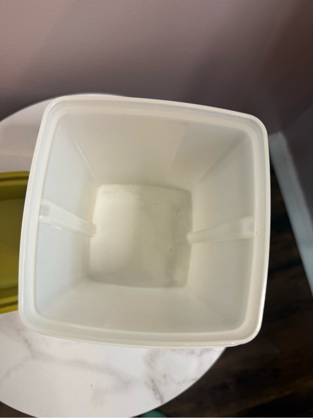 Tupperware Pickle Storage Container - Picture 5 of 7